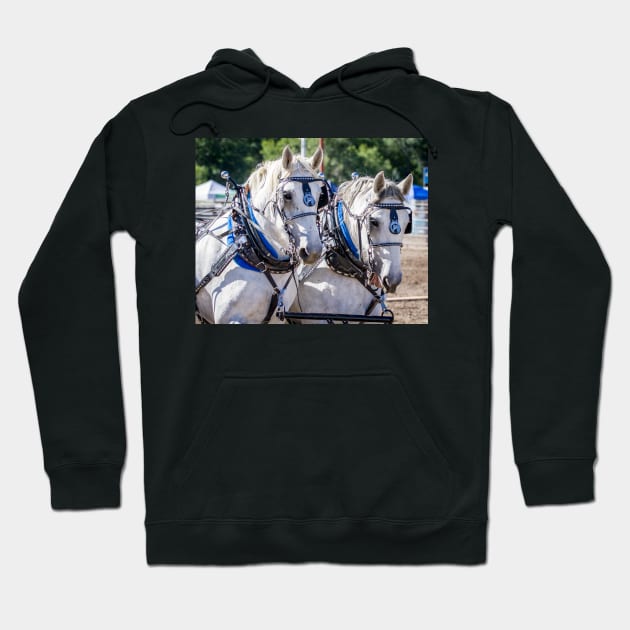 Draft Horse Hoodie by 3QuartersToday